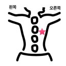클렌베리 | 잦은 방광염과 요로결석 깨는 충격파 시술 후기