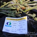 고사리마을회관 이미지