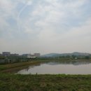 수주농장 이미지