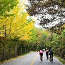 텐프로헤어 | 적상산 무주 투어 라이딩, 클럽텐프로. Oct 22. 2016