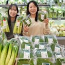 팜 마트 이미지