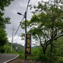 [공지] 자연과 조화로운 휴식, 무릉도원오토캠핑장 방문기