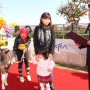 포니랜드 이미지