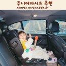 프로 | 주니어카시트 추천 브라이텍스 키드픽스프로럭스 후기