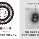약수한의원 이미지
