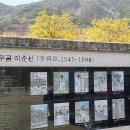 산수유꽃길로 이미지