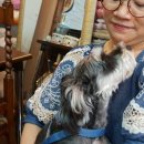 고운선한복 이미지