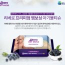 리베로(Libero) 이미지