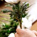 의료법인 이도의료재단 남해병원 이미지