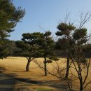 부산칸트리클럽 이미지