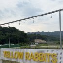 구미 캠핑돔에서 감성 캠프닉 옐로우레빗츠💛