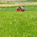 농업회사법인 연호 주식회사 이미지