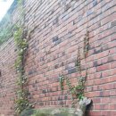 슬로시티삼지내마을 이미지