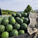 우곡농로 이미지