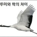학의 이미지