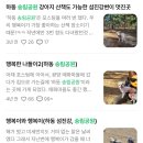 방죽포해수욕장(송림) 네이버블로그