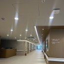 더숲요양병원 | 라벤더힐병원 암회복특화병원 건강강좌 참석 후기