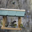 친절한 복희씨 이미지