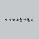 이*상 이미지