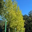 황순원문학관 | 양평 가볼만한곳 황순원 소나기마을 체험형 여행 추천