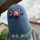 양덕하우스스토리경로당 | ~연말연초 일상정리~(뉴플리가 된 일상이랄까)