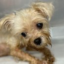 진곡산단5번로 이미지