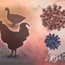 금양농장 이미지