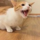 비잔틴모텔 이미지