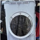 윈드크린 이미지