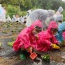 서삼초등학교 이미지