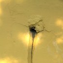 동숭어린이집 이미지