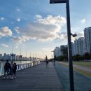 해오름광장 꽃게동상 이미지