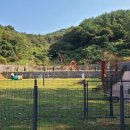 반려동물놀이터 이미지