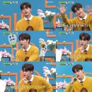 진비디오 이미지