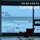 경주 감포트라제2 이미지