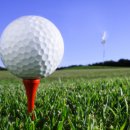 디오픈골프
