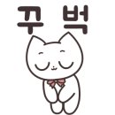 마포 요미독앤캣 강아지분양 고양이분양 이미지