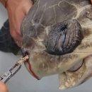 오라상점 이미지