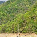 아이요트민박 이미지