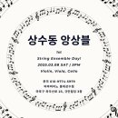 비바바이올린