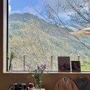 신세계 민박 | 집에서 하는 둘째의 셀프 돌잔치 후기