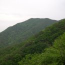 월곡3리 | 금오지맥(3구간) : 염속산-빌무산-고당산-백마산 구간