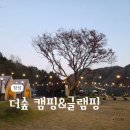 FoRest(숲&amp;휴식) | 광주 근교 장성 더숲 글램핑 내돈내산 후기
