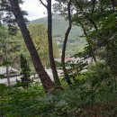 자유리 수9594 계명봉 추상 오토프리134 이미지
