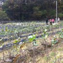 전임농장 이미지