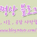 IZONE게임장 네이버블로그