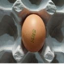 김옥순 농장 이미지