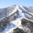 휘닉스파크 이미지