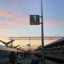 G00160 | 유럽 여행 숙소, 유심, 교통(ecolines, Lux express)정보 [헬싱키, 발트3국, 칼리닌그라드]