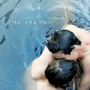 하이스팀 이미지